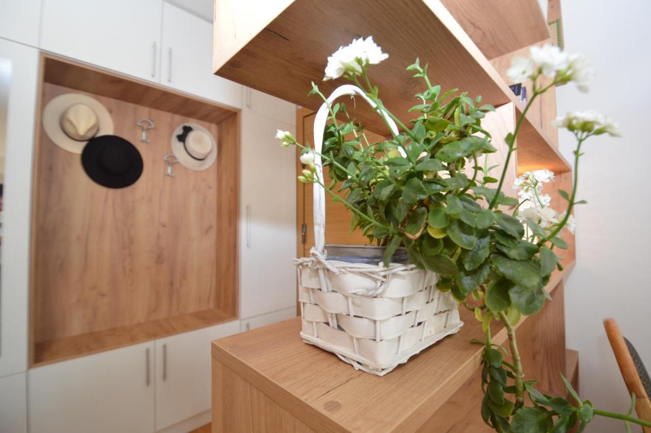 Shine24 - Spacious And Bright Apartment - New Újvidék Kültér fotó